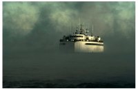 Sea Smoke