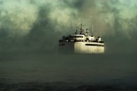 Sea Smoke 36