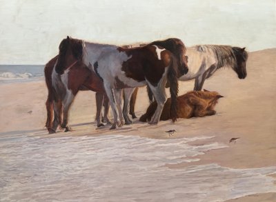 Christine Cathers Donohue - Horses