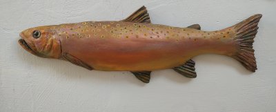 Ann Rozhon - Trout