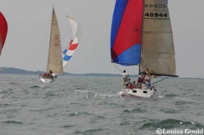 Louisa Gould - Buzzards Bay