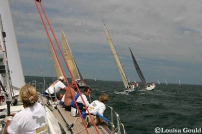 Louisa Gould - Buzzards Bay