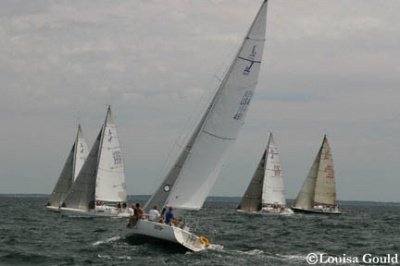 Louisa Gould - Buzzards Bay