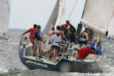 Louisa Gould - Buzzards Bay