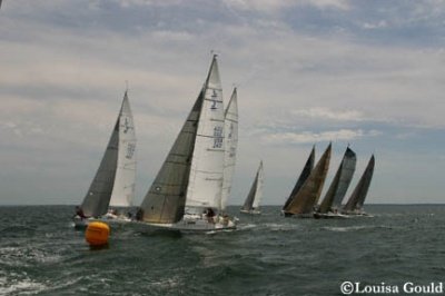 Louisa Gould - Buzzards Bay