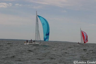 Louisa Gould - Buzzards Bay