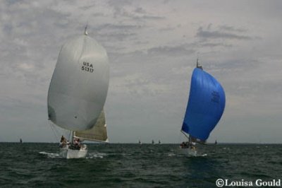 Louisa Gould - Buzzards Bay