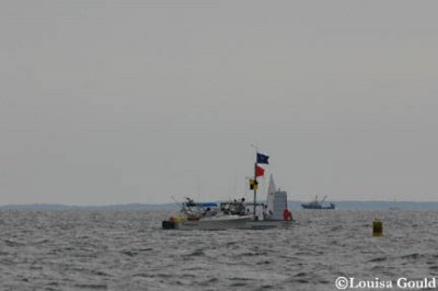 Louisa Gould - Buzzards Bay