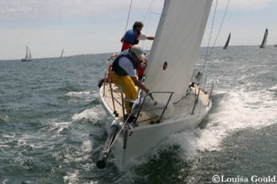 Louisa Gould - Buzzards Bay