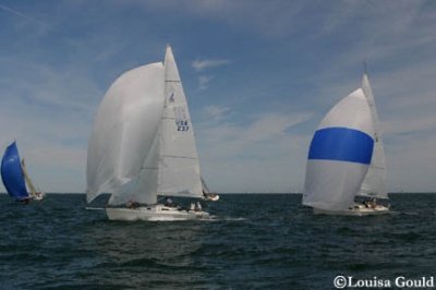 Louisa Gould - Buzzards Bay