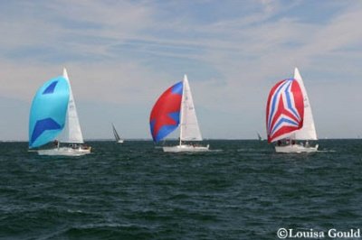 Louisa Gould - Buzzards Bay