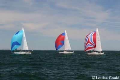 Louisa Gould - Buzzards Bay