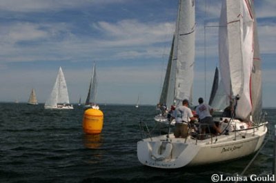 Louisa Gould - Buzzards Bay