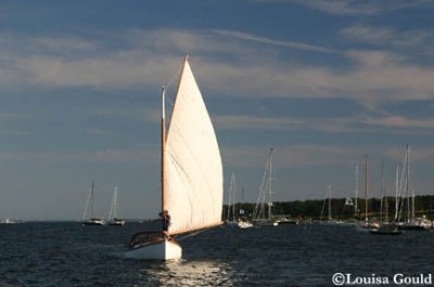 Louisa Gould - Buzzards Bay