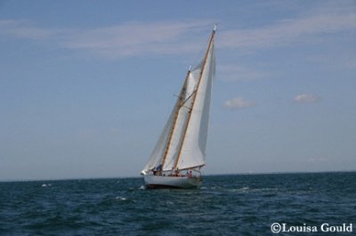 Louisa Gould - Around the Island Race