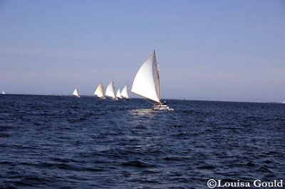 Louisa Gould - Cat Boat Race