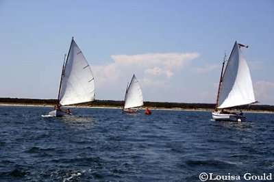 Louisa Gould - Cat Boat Race