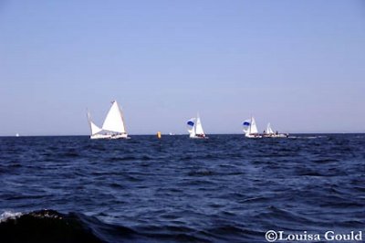 Louisa Gould - Cat Boat Race