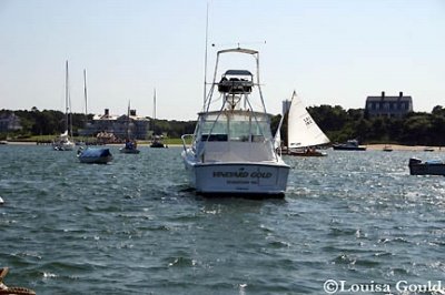 Louisa Gould - Cat Boat Race