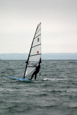 Louisa Gould - Windsurfing