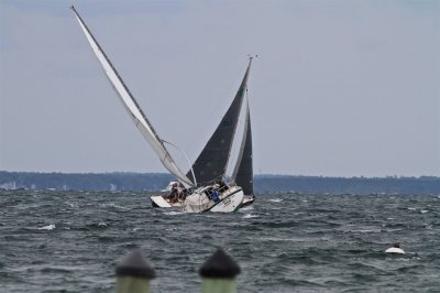 Louisa Gould - Moffett Race 2018