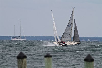 Louisa Gould - Moffett Race 2018