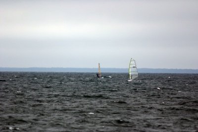 Louisa Gould - Windsurfing