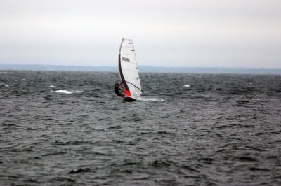 Louisa Gould - Windsurfing