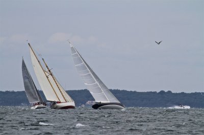 Louisa Gould - Moffett Race 2018