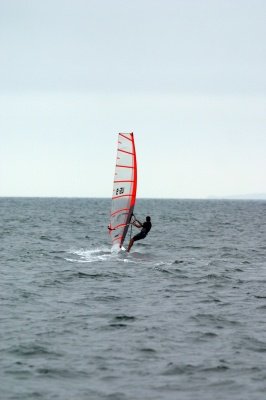 Louisa Gould - Windsurfing