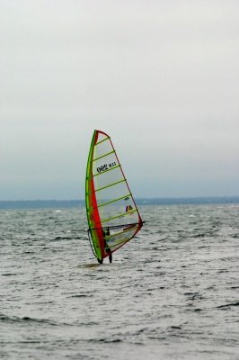 Louisa Gould - Windsurfing