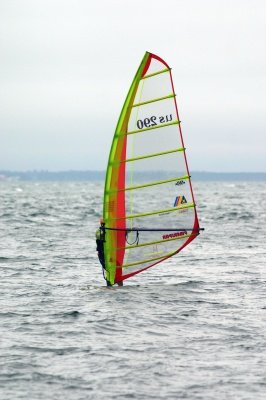 Louisa Gould - Windsurfing