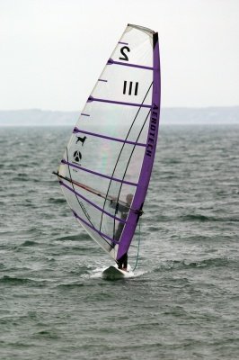 Louisa Gould - Windsurfing