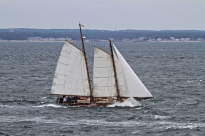 Louisa Gould - Moffett Race 2018