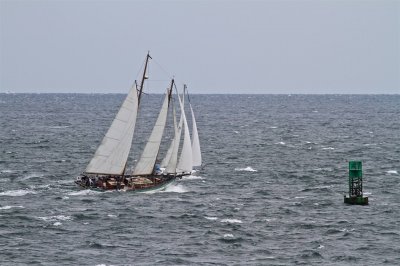 Louisa Gould - Moffett Race 2018