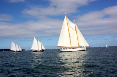 Louisa Gould - Gaff Rig Race (Pat West Race) 2008