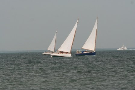 Louisa Gould - Cat Boat Race