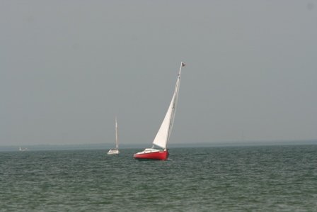 Louisa Gould - Cat Boat Race