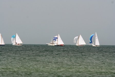 Louisa Gould - Cat Boat Race