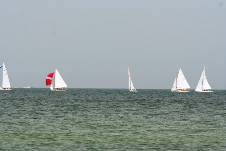 Louisa Gould - Cat Boat Race