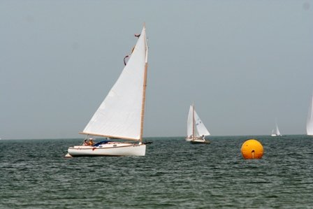 Louisa Gould - Cat Boat Race