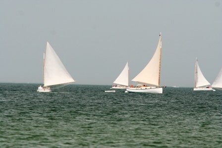 Louisa Gould - Cat Boat Race