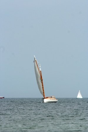 Louisa Gould - Cat Boat Race