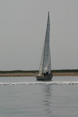 Louisa Gould - Around the Island Race