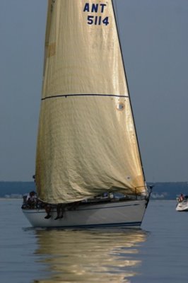 Louisa Gould - Around the Island Race