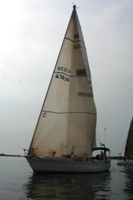 Louisa Gould - Around the Island Race