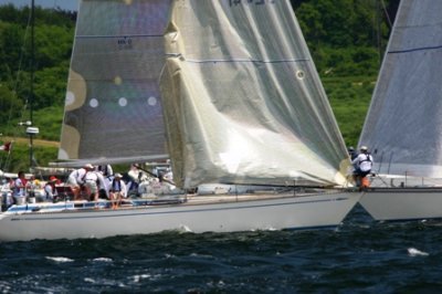 Louisa Gould - Newport-Bermuda