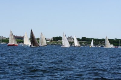 Louisa Gould - Newport-Bermuda