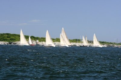 Louisa Gould - Newport-Bermuda