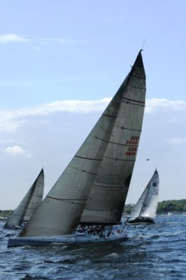 Louisa Gould - Newport-Bermuda